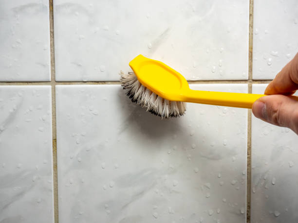 Best Mold Remediation  in Lexington, MS