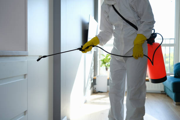 Best Certified Mold Removal  in Lexington, MS