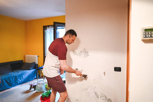 Trusted Lexington, MS Mold Removal Experts