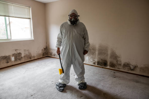 Best Crawl Space Mold Removal  in Lexington, MS